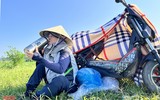 Nông dân ở Nghệ An 'đội nắng' thu hoạch dưa lê ảnh 11