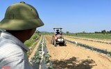 Nông dân ở Nghệ An 'đội nắng' thu hoạch dưa lê ảnh 13