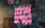 Nhiếp ảnh gia Việt Nam giành giải cuộc thi Pink Lady 2023
