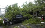 Chùm ảnh bão Idalia tàn phá Florida