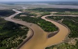 Chùm ảnh rừng Amazon hạn hán kinh hoàng, cá chết trắng sông