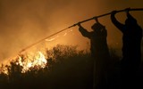 Chùm ảnh cháy rừng bùng phát ở Argentina giữa đợt nắng nóng dữ dội