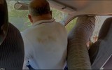 Video một gia đình thoát nạn khi gặp voi nhờ khoai tây chiên