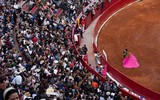 Chùm ảnh đấu bò ở thủ đô Mexico bất chấp bị phản đối