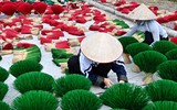 Hình ảnh làng hương Việt Nam trên báo nước ngoài