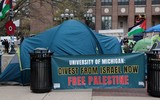Chùm ảnh sinh viên Mỹ rần rần biểu tình ủng hộ Palestine