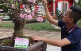 29 nghệ nhân làng Nhật Tân lần đầu tiên thi hoa đào truyền thống