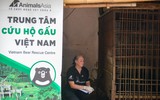 Giải cứu cá thể gấu ngựa bị nuôi nhốt hơn 20 năm tại Hà Nội