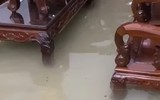 Người dân TP Hà Tĩnh lội bì bõm sau trận mưa lớn