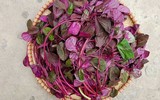 Những loại rau có tác dụng dưỡng xương hiệu quả bán nhiều ở chợ Việt 