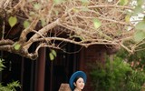 Ảnh cưới của Quang Hải - Thanh Huyền nhận 'mưa' lời khen
