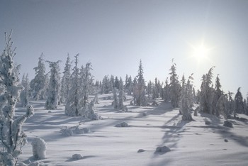 Mùa đông ở Oymyakon, Nga. (Ảnh: Sputnik)
