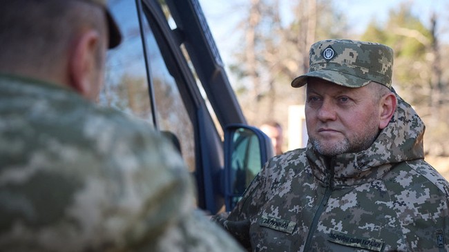 Cựu Tổng Tư lệnh các lực lượng vũ trang Ukraine, tướng Valery Zaluzhny 