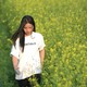 Ngắm cánh đồng hoa cải nở rộ bạt ngàn, đẹp nao lòng gần Hà Nội