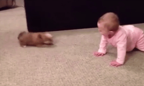 Em bé hồn nhiên "cãi nhau" với cún cưng 