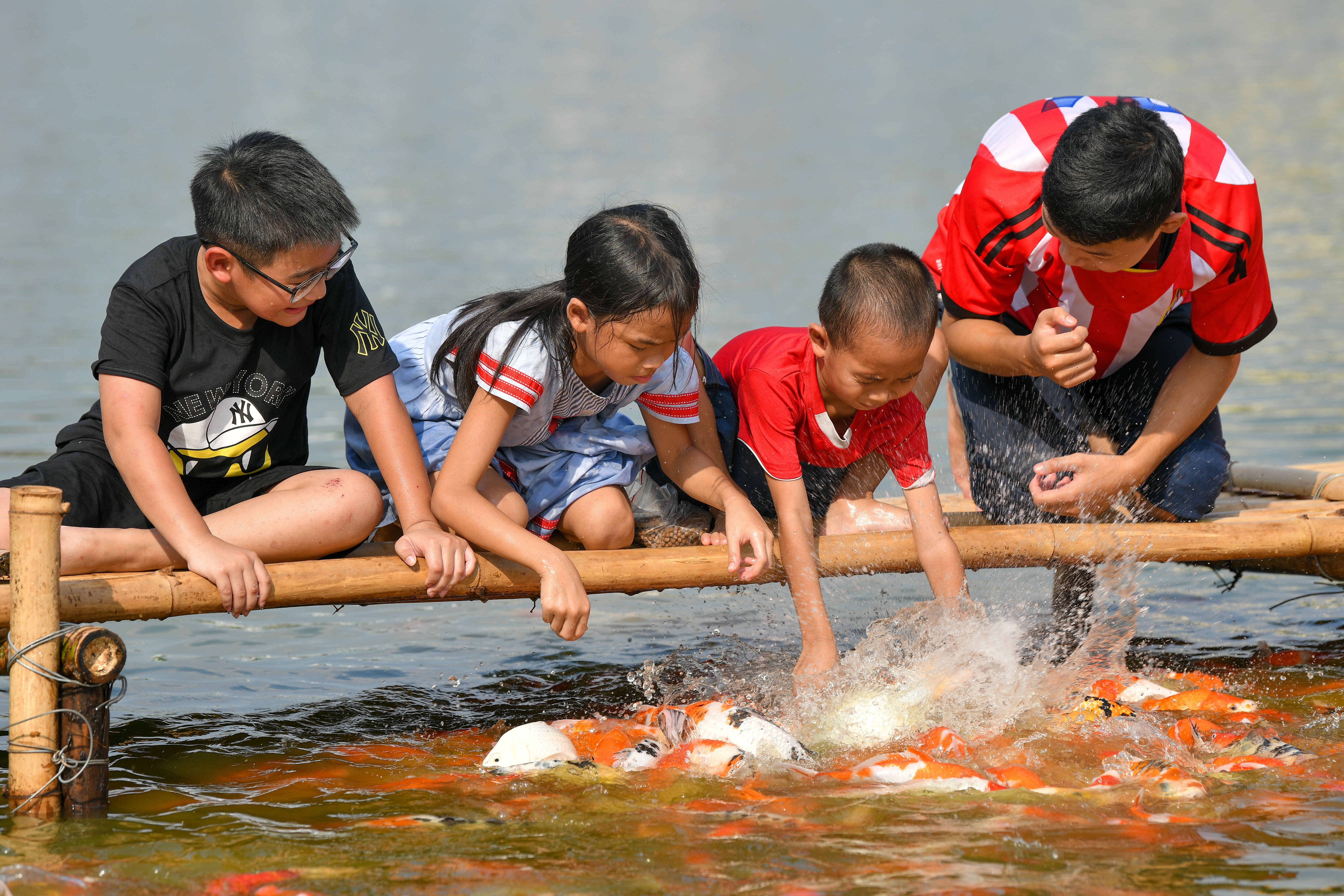 Người dân thích thú với hồ cá koi miễn phí giữa lòng Thủ đô.