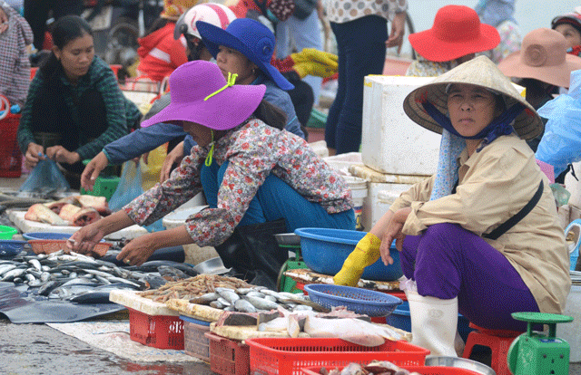 Hai hôm nay (1-2/5) người tiêu dùng Quảng Bình đã bắt đầu việc mua cá biển trở lại