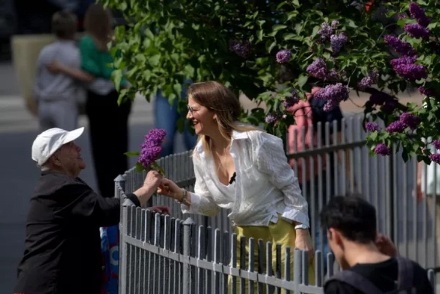 Hoa tử đinh hương gây xao xuyến tại St.Petersburg