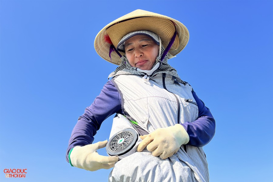 Nông dân ở Nghệ An 'đội nắng' thu hoạch dưa lê