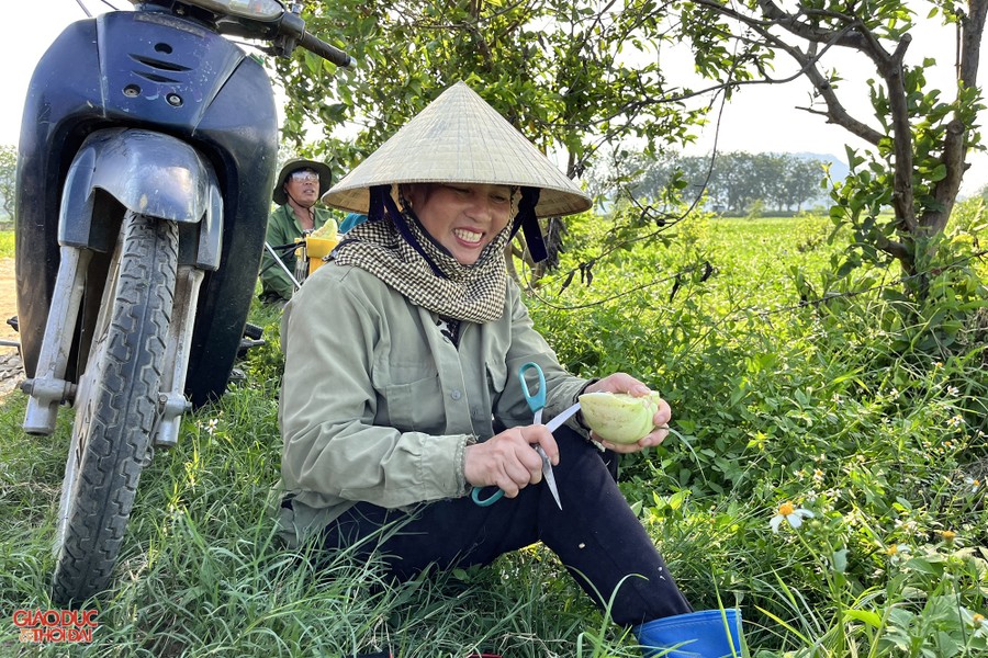 Nông dân ở Nghệ An 'đội nắng' thu hoạch dưa lê ảnh 12