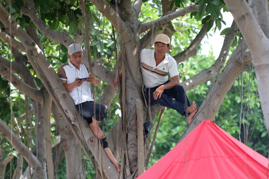 Người Đà Nẵng đội nắng, trèo cây cổ vũ đua thuyền trên sông Hàn