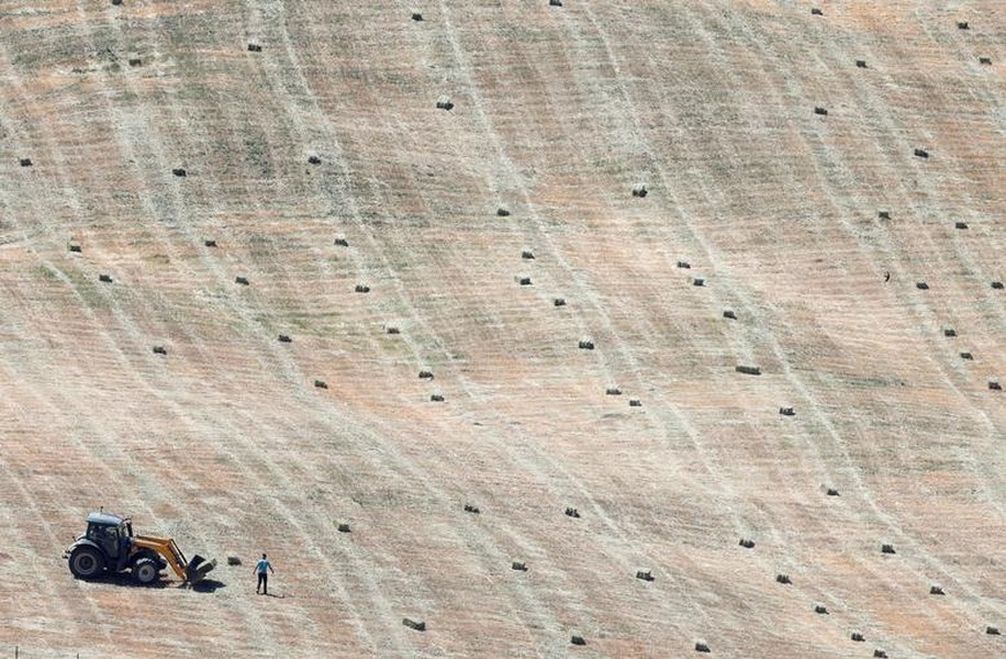 Hình ảnh đất đai nứt toác vì khô hạn ở Tây Ban Nha