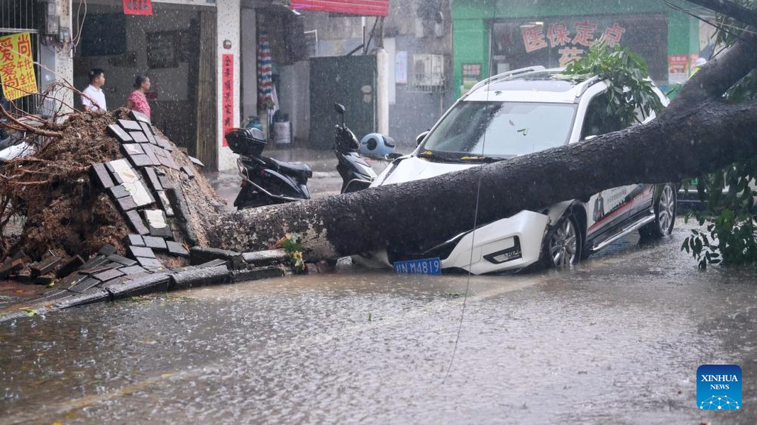 Chùm ảnh bão Talim quật đổ cây, hoành hành ở Trung Quốc 