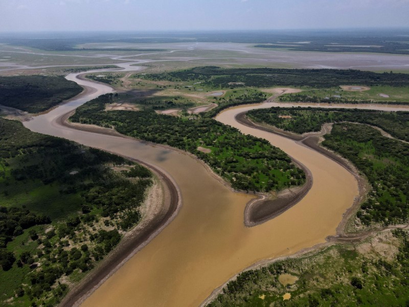 Chùm ảnh rừng Amazon hạn hán kinh hoàng, cá chết trắng sông