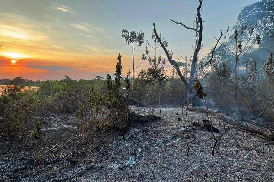 Thiên đường của đa dạng sinh học đang cháy rừng không kiểm soát
