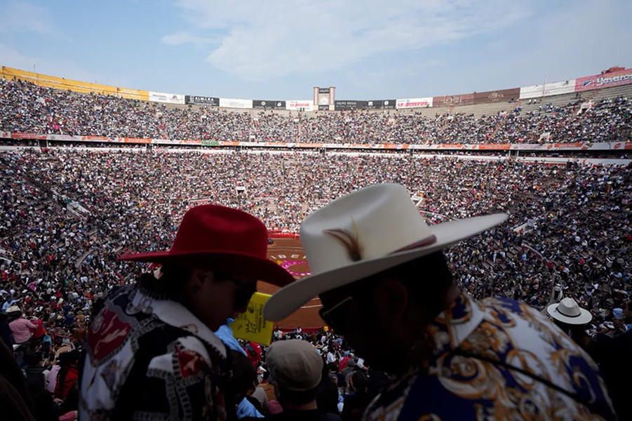 Chùm ảnh đấu bò ở thủ đô Mexico bất chấp bị phản đối