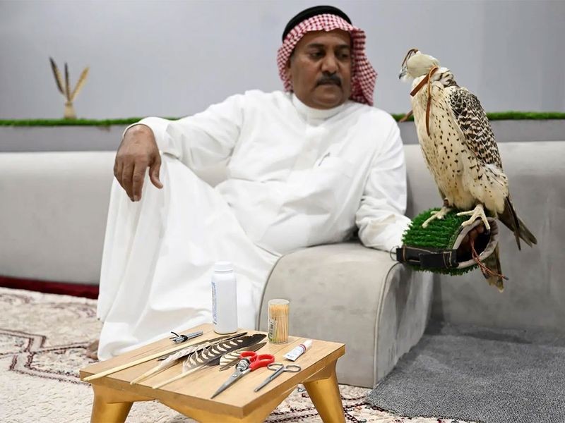 Chùm ảnh: Nghệ thuật sửa lông chim ưng phát triển ở Ả Rập Saudi 