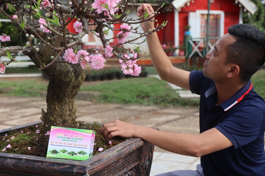 29 nghệ nhân làng Nhật Tân lần đầu tiên thi hoa đào truyền thống