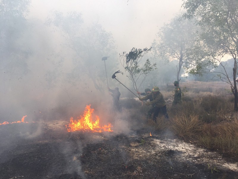 Hàng trăm người nỗ lực dập tắt cháy rừng ở Quảng Trị