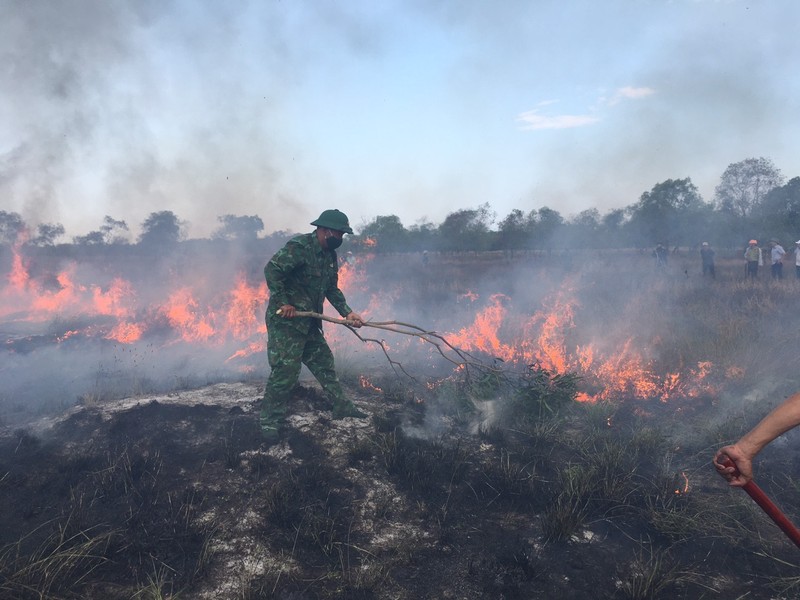 Hàng trăm người nỗ lực dập tắt cháy rừng ở Quảng Trị
