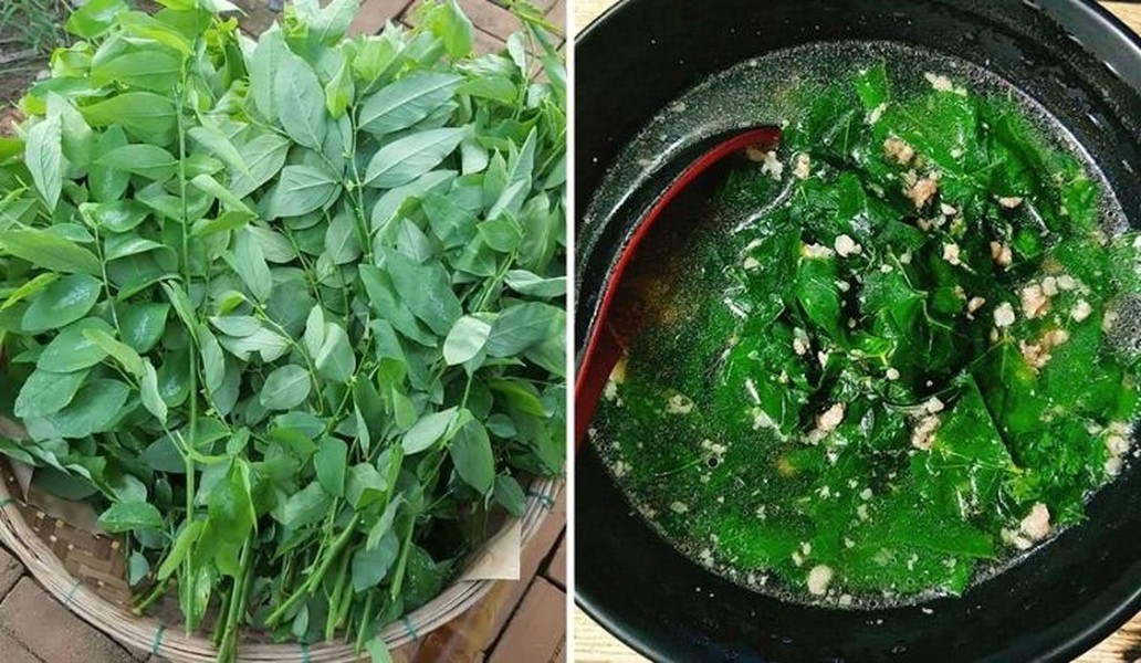 Top thực phẩm khắc tinh của ung thư gan, bán nhiều ở chợ Việt