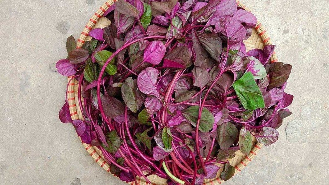Những loại rau có tác dụng dưỡng xương hiệu quả bán nhiều ở chợ Việt 