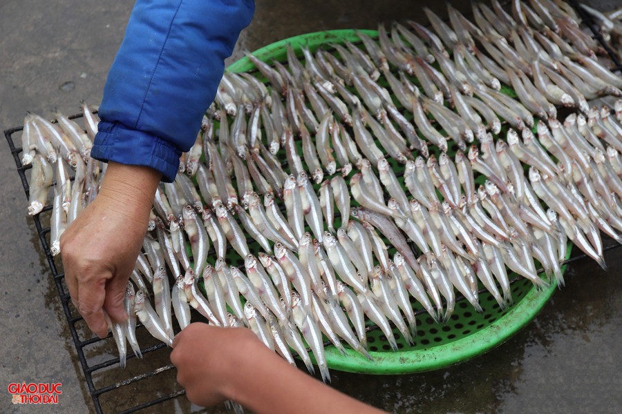 Thơm lừng làng nướng cá biển ở Nghệ An