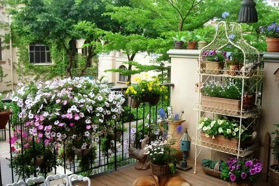Những khu vườn đẹp như mơ trên ban công chỉ vài mét vuông 