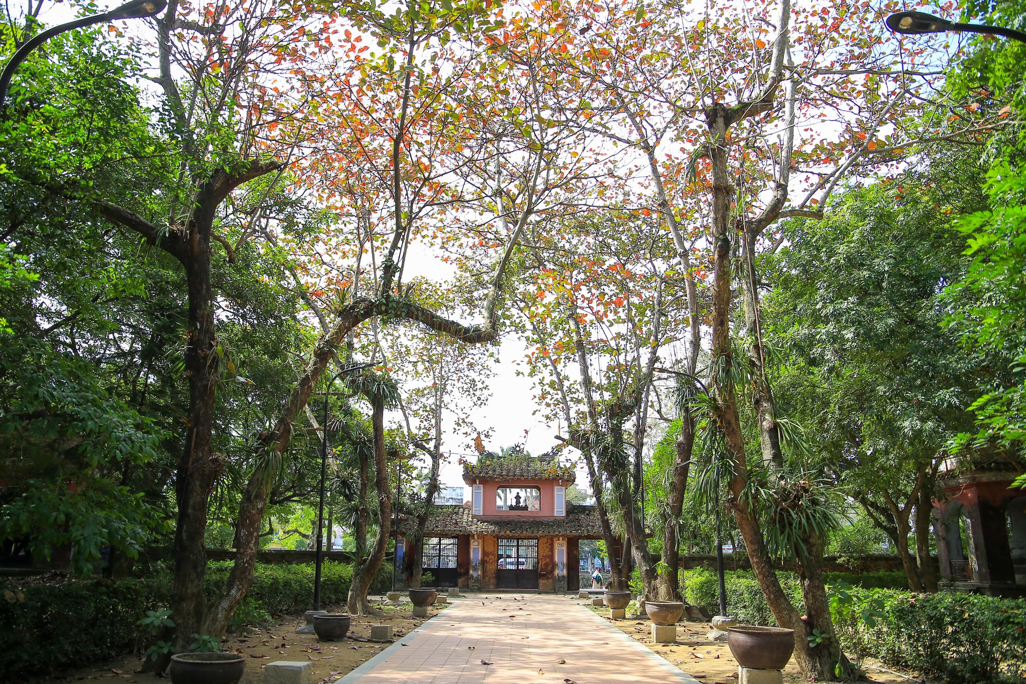 Chùa Diệu Đế có một vị trí quan trọng trong lịch sử Phật giáo ở Huế. Ngày nay, chùa là trở thành một điểm nổi tiếng, thu hút đông đảo người dân và du khách tham quan. (Ảnh: Hoàng Hải).