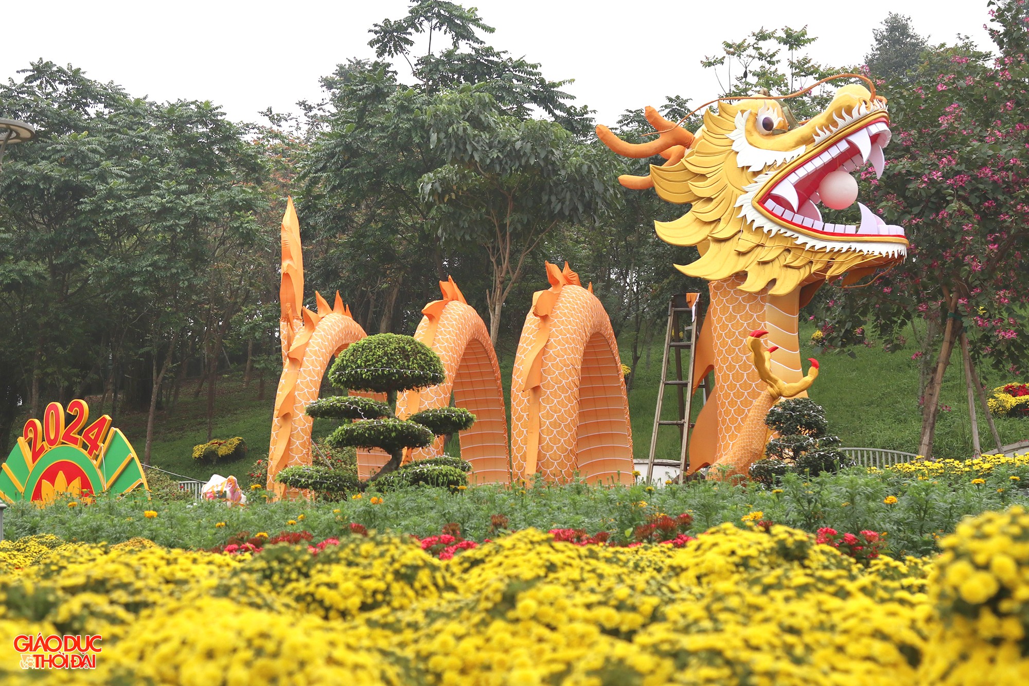 Linh vật rồng tại vườn hoa nghệ thuật TP Vinh là điểm nhấn trong bức tranh trang trí Tết tại thành phố Vinh; phục vụ người dân và du khách vui Tết, đón Xuân. (Ảnh: Phạm Tâm)