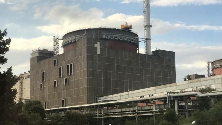 Nhà máy điện hạt nhân Zaporozhye (ZNPP) (Ảnh: © Global Look Press / Dmitry Grigoriev)