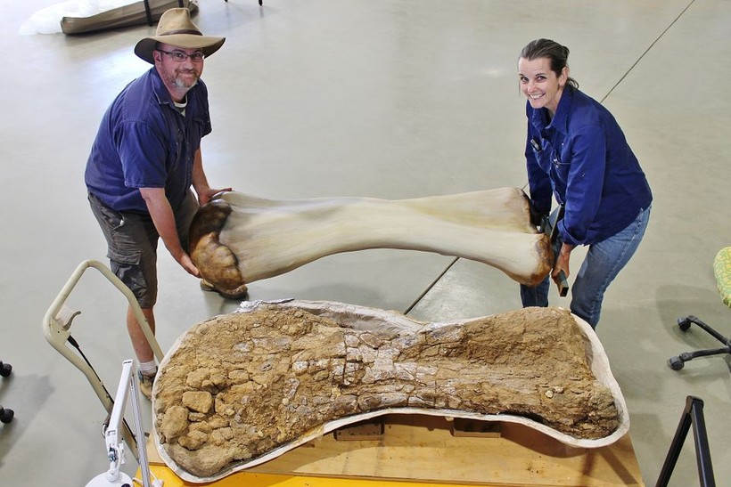 Tiến sĩ Scott Hocknull vùng với bản tái tạo 3D và xương hài cốt của loài khủng long mới được phát hiện. 