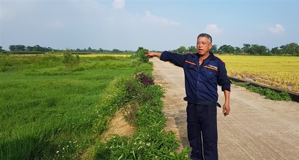 Ông Nguyễn Xuân Lệ chỉ tay về khu đồng chưa được chia và đang có dấu hiệu hoang hóa.