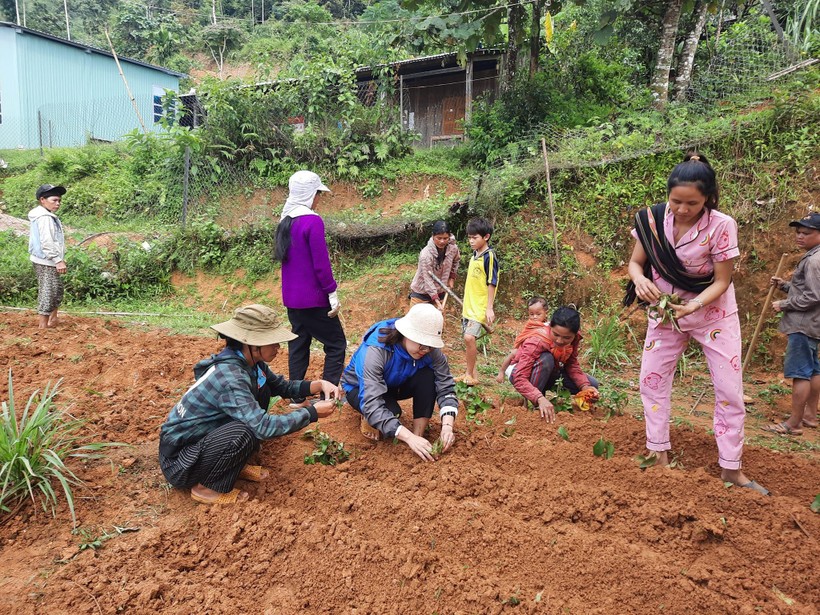 Cô Thu Ba cùng với phụ huynh học sinh trồng rau và cây dược liệu để có thêm nguồn thu hỗ trợ học sinh. 