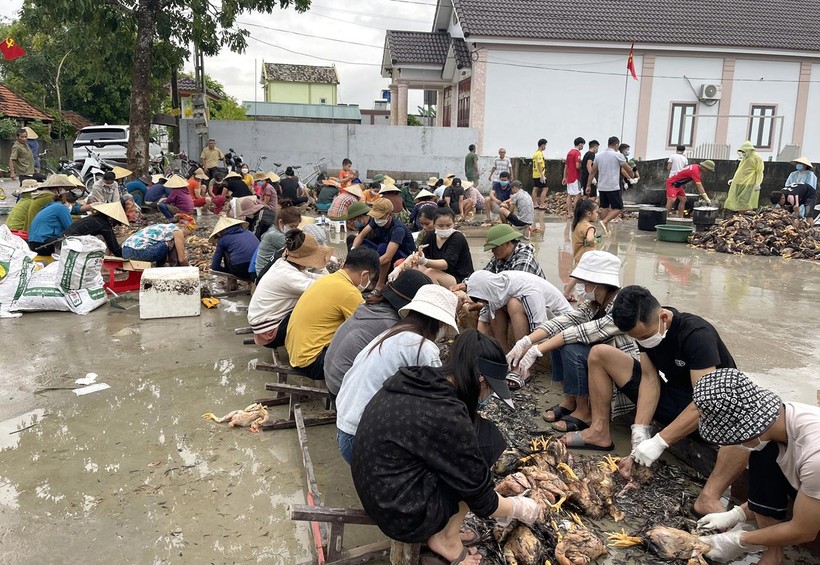 Người dân xóm Bàu Xuân làm thịt gà giúp chủ trại bị thiệt hại do mưa lũ.