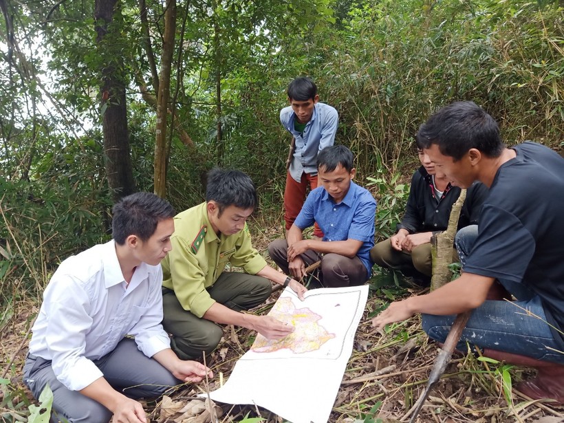 Người dân huyện Nậm Pồ tích cực tham gia bảo vệ rừng.