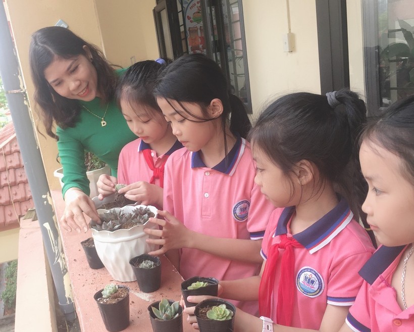 Học sinh Lào Cai đổi gần 5 tấn phế liệu lấy cây xanh ảnh 7