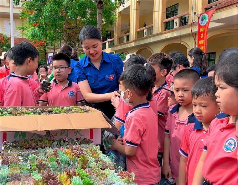 Học sinh Lào Cai đổi gần 5 tấn phế liệu lấy cây xanh ảnh 2