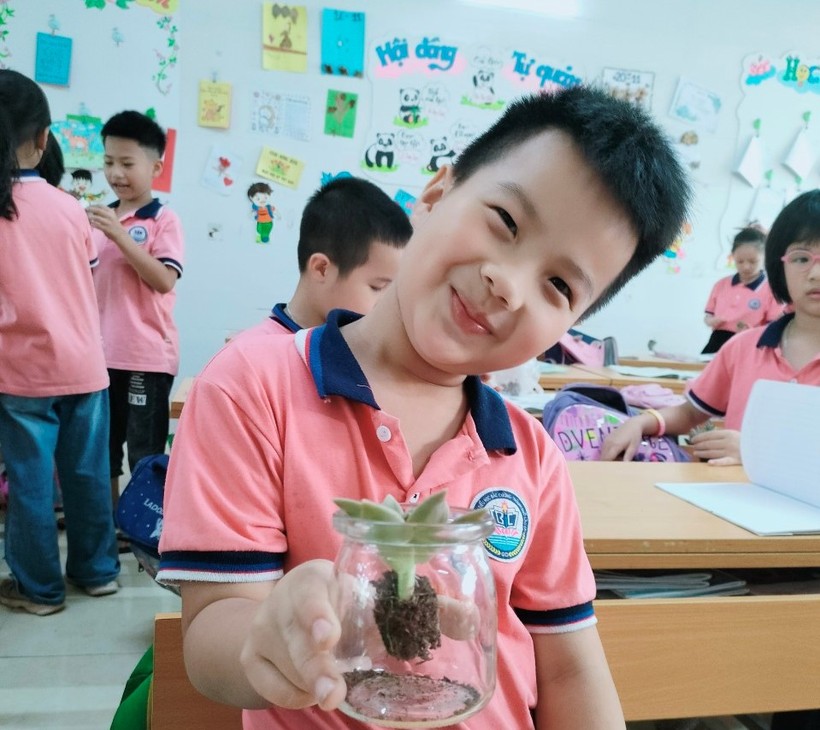 Học sinh Lào Cai đổi gần 5 tấn phế liệu lấy cây xanh ảnh 9