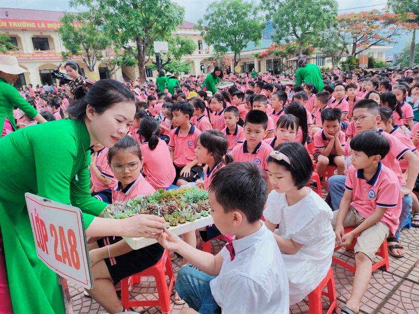 Học sinh Lào Cai đổi gần 5 tấn phế liệu lấy cây xanh ảnh 1